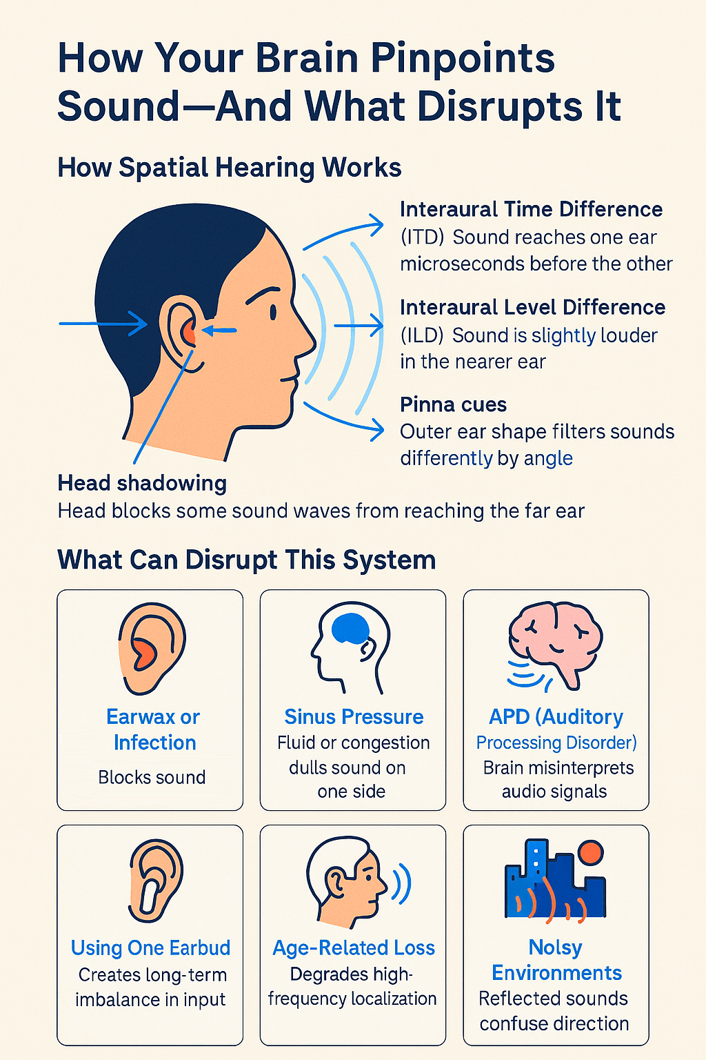 This infographic has two sections. The top explains how spatial hearing works, using a diagram of a human head with sound waves entering both ears. It highlights four cues: Interaural Time Difference (ITD), Interaural Level Difference (ILD), Pinna cues (filtering by outer ear shape), and Head Shadowing. The bottom section, titled “What Can Disrupt This System,” shows six icons with labels: Earwax or Infection (blocks/distorts sound), Sinus Pressure (dulls sound on one side), APD (brain misinterprets audio), Using One Earbud (creates imbalance), Age-Related Loss (degrades localization), and Noisy Environments (confuses direction). The color scheme is navy, electric blue, and orange on a beige background.