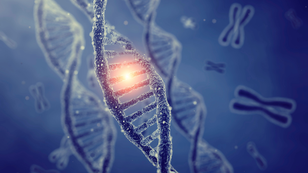 Can You Inherited Hearing Loss