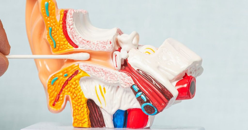 Diagram showing how reduced blood flow can affect inner-ear hearing function