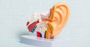Diagram comparing sensorineural and conductive hearing loss