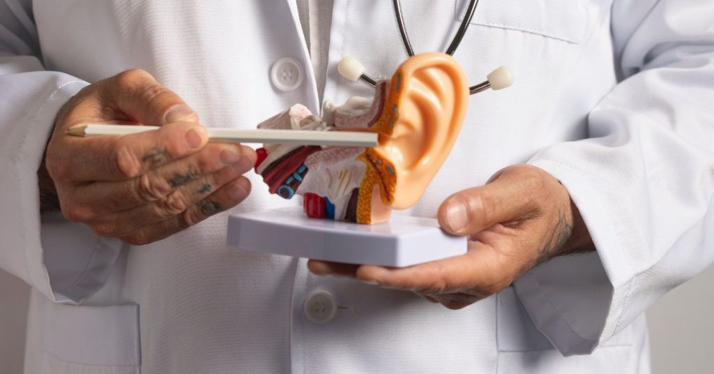 Diagram showing how hearing loss and balance issues are connected in the inner ear