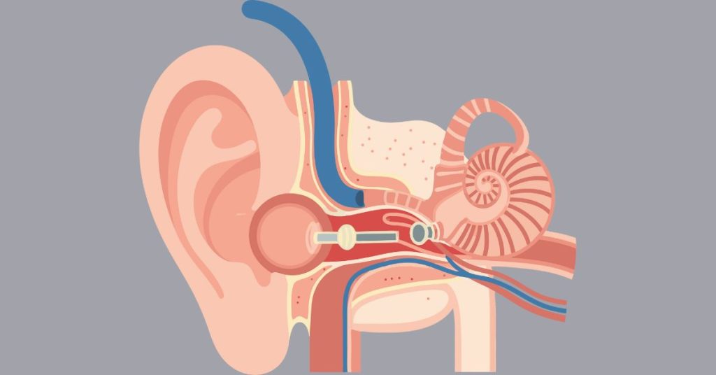 Simple diagram explaining how hearing works